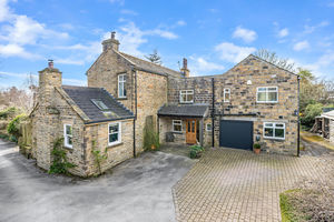 Photo 10- click for photo gallery